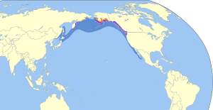 Larus glaucescens map.svg