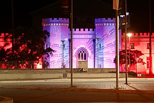 Macquarie Night Lights 006