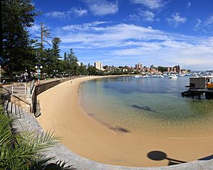 Manly sydney harbour