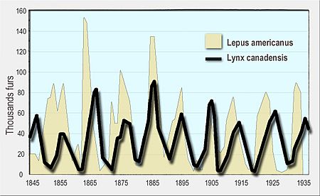 Milliers fourrures vendues en environ 90 ans odum 1953 en