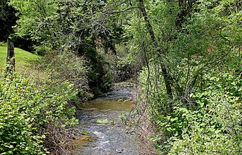 Montour Run looking upstream.JPG