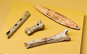 Musical instruments of prehistory