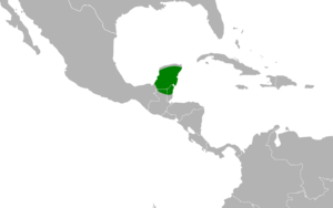 Nyctiphrynus yucatanicus map.svg