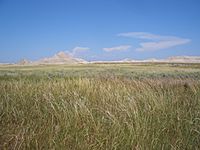 Oglala National Grassland