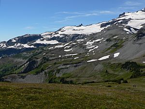 Ohanapecosh Glacier 22942