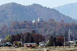 Ohno Castle