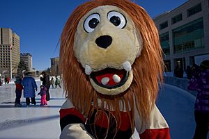 Ottawa Winterlude Festival (34757903963)