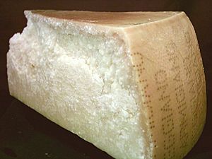 Parmigiano reggiano piece