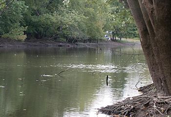 Passaic River in Western Essex Co