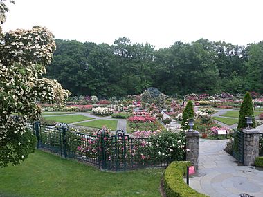 Peggy Rockefeller Rose Garden NYBG jeh