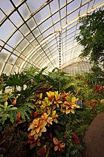 Phipps Conservatory Stove Room Rain Chain