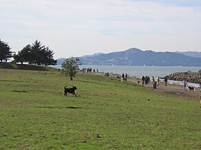 Point Isabel California