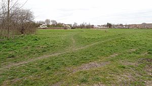 Roundshaw Downs 6