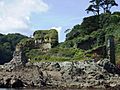 Salcombecastle2