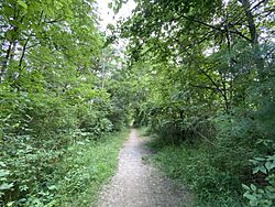 Sleepy Hollow State Park - Trail View