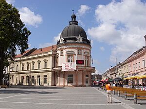 Sremska Mitrovica Center 1