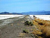 TonopahTidewaterRailroadBed