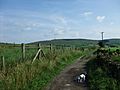 Tower View from Weasel Lane