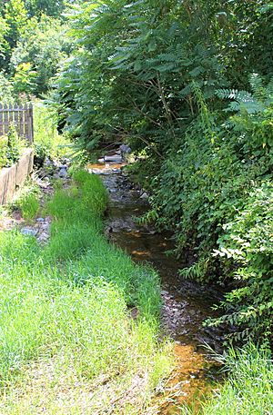 Winfield Creek looking downstream