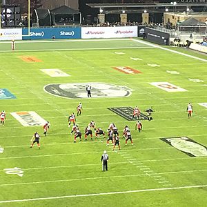 2016 Grey Cup, Ottawa offense