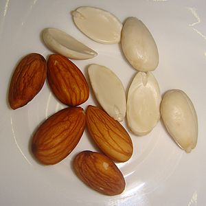 Almond-Badam-001