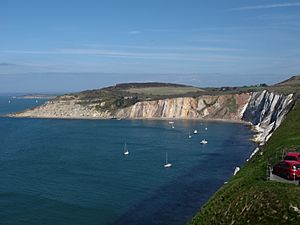 Alum Bay monocline