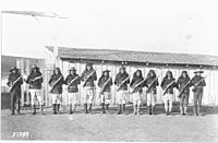 Apache Scouts