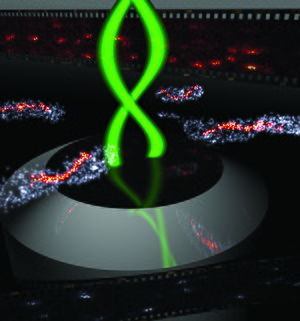 Bacteria-3D-Double-Helix