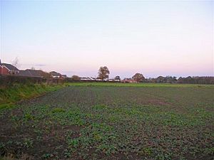 Battle Flat - geograph.org.uk - 285158