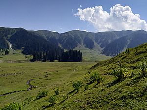 Bangus Valley in Kupwara