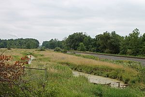 Beaver Run looking downstream