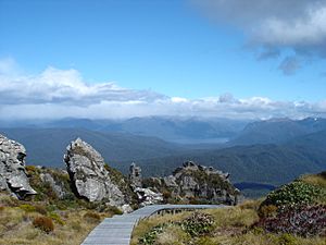 Boardwalk up near Okaka hut looking to Lake Poteriteri