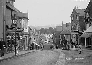 Broad St. Knighton (1294418)