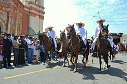 CaballosDePasoEnHuaman