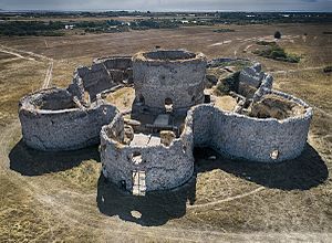 Camber Castle near Rye