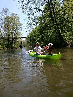 ColonelKayak2