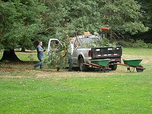 Cowen Park maintenance