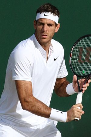 Del Potro WM16 (13) (28340179731)