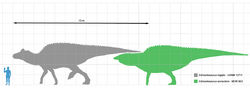 Edmontosaurus scale