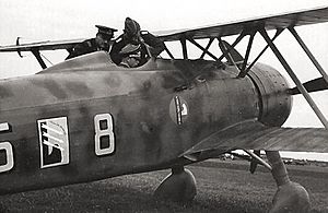 Fiat CR.42 -Belgium