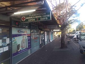 Flemington Chemist