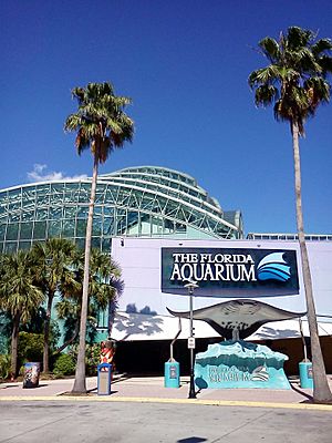 Florida Aquarium Channelside