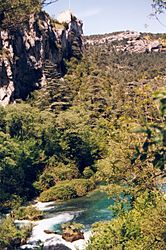 Fontaine de vaucluse.jpg