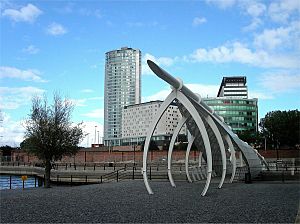 Footbridge over Princes Dock - geograph.org.uk - 328709