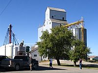 Grain Elevator (Hartney, MB)