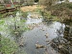 Hawkesley Farm moated site