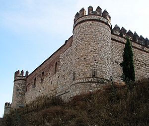 Maqueda Castillo close