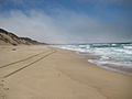 Marina State Beach.jpg