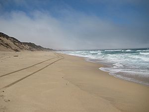 Marina State Beach