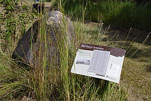 Mill Point Settlement Site, 2008.jpg